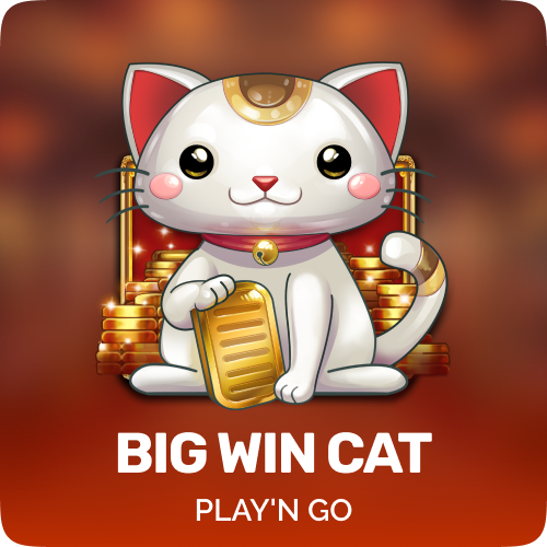 Big Win Cat