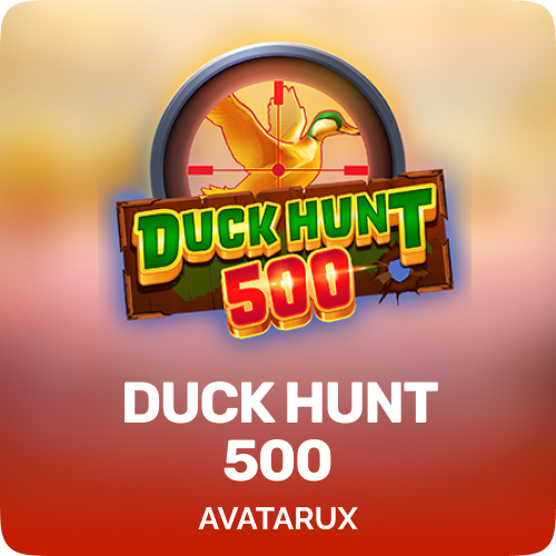 Duck Hunt 500