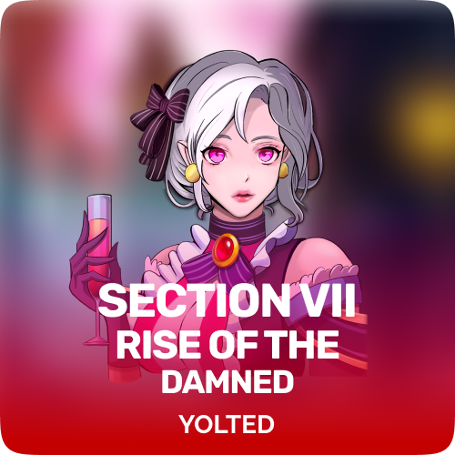Sectionviii 1 